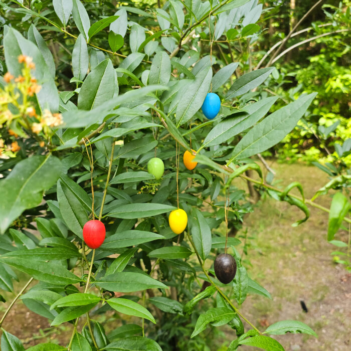 Ostereier zum hängen in bunt